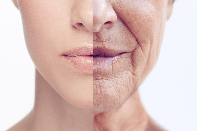 اصل پنجم و ششم از اصولی برای افزایش طول عمر