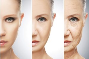 اصل یازدهم و دوازدهم از اصولی برای افزایش طول عمر