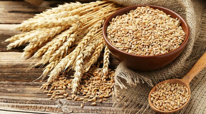 خواص باور نکردنی گندم