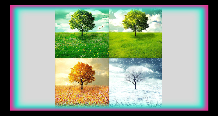 چهار فصل ( ویوالدی )