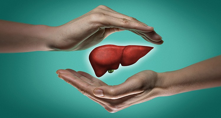 اصل 99 و 100 از اصولی برای افزایش طول عمر