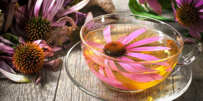 آشنایی با خواص و مضرات اکیناسه