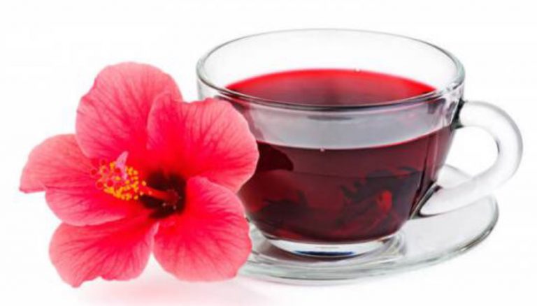 خواص و مضرات چای ترش ، فواید چای ترش ، مضرات چای ترش ، کاهش فشار خون ، کاهش کلسترول بد ، بهبود عملکرد کبد ، ایران دخت  ، خواص و مضرات چای ترش ، 