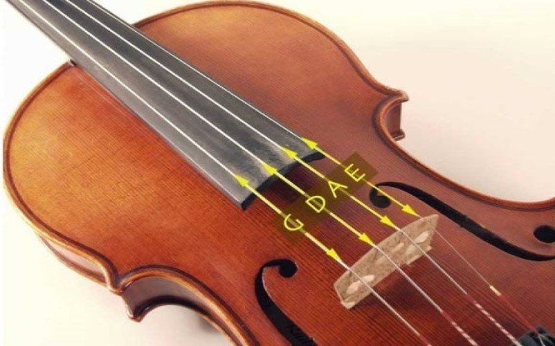 آشنایی با ساز ویلون ٬ تاریخچه ساز ویلون ٬ پیشینه ساز ویلون ٬ ساز ویولون violin ٬ ساز زهی ٬ بخش های ویولون ٬ کوک ساز ویولون ٬ محدوده صوتی ویولون ٬