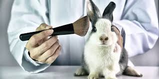 Animal-testing